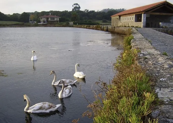 Apartment Atico Playa